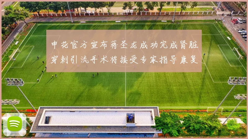 申花官方宣布蒋圣龙成功完成肾脏穿刺引流手术将接受专家指导康复治疗