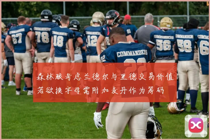 森林狼考虑兰德尔与里德交易价值若欲换字母需附加麦丹作为筹码
